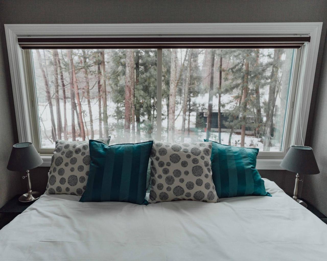 Ski-In, Ski-Out Hatsuyuki Apartments Hakuba Ngoại thất bức ảnh